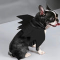 Halloween pet prop bat wings