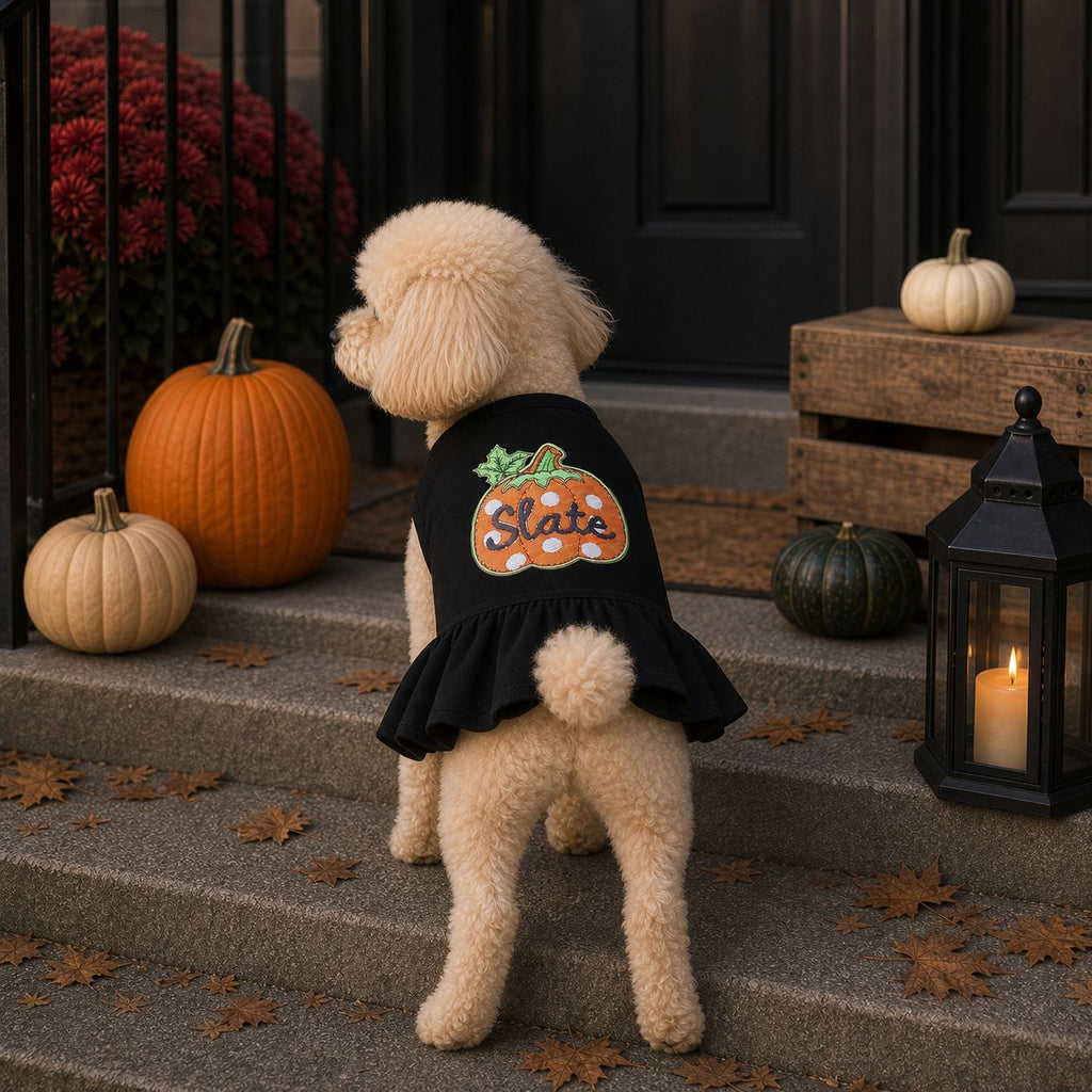 Pet Halloween Vest Dress for Cats and Dogs, Pumpkin Costume for Pomeranian