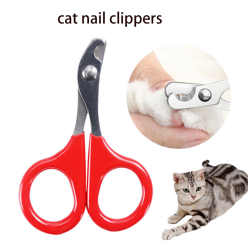 Stainless Steel Pet Grooming Scissors