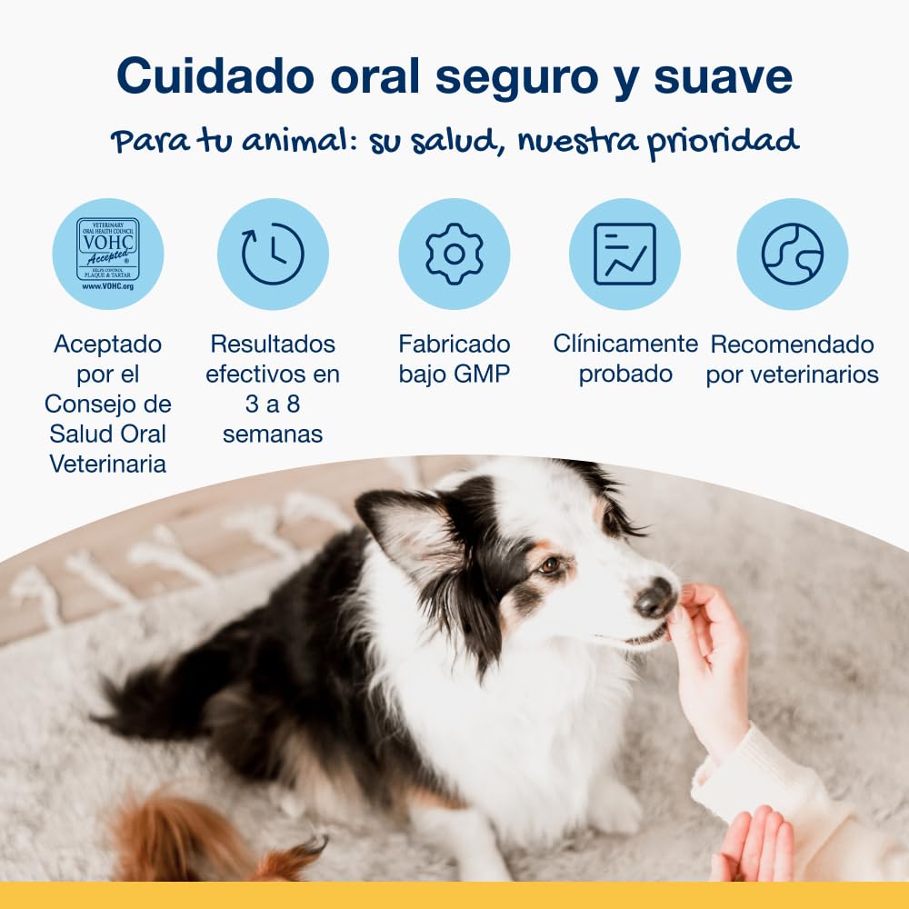 ProDen PlaqueOff 60g Dental Powder for Dogs - 100% Organic 6-Month Supply