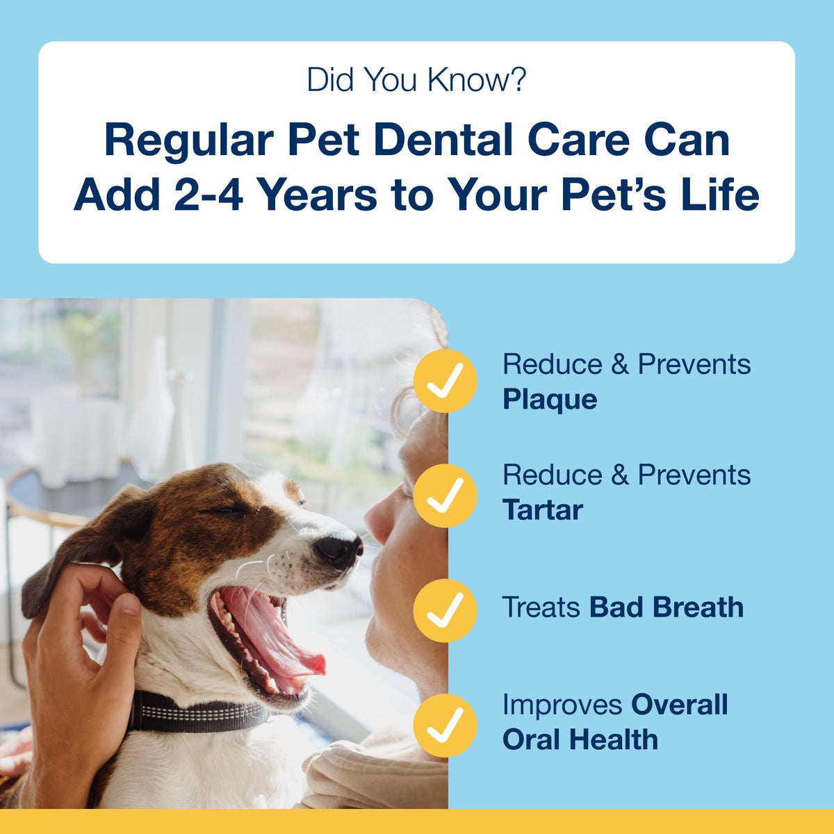 ProDen PlaqueOff 60g Dental Powder for Dogs - 100% Organic 6-Month Supply