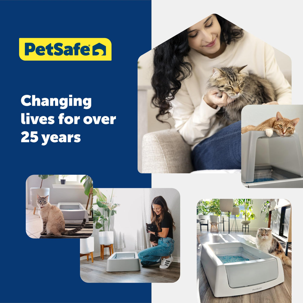 PetSafe ScoopFree Premium Crystal Cat Litter — Lavender, 2-Pack