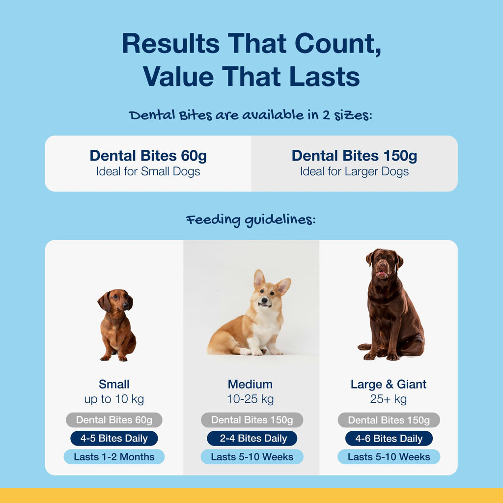 ProDen PlaqueOff 60g Dental Powder for Dogs - 100% Organic 6-Month Supply