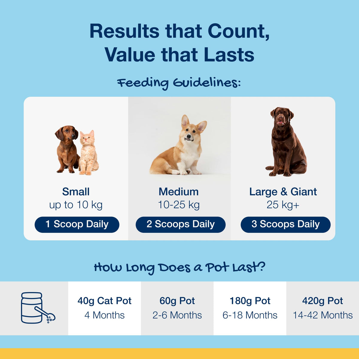 ProDen PlaqueOff 60g Dental Powder for Dogs - 100% Organic 6-Month Supply