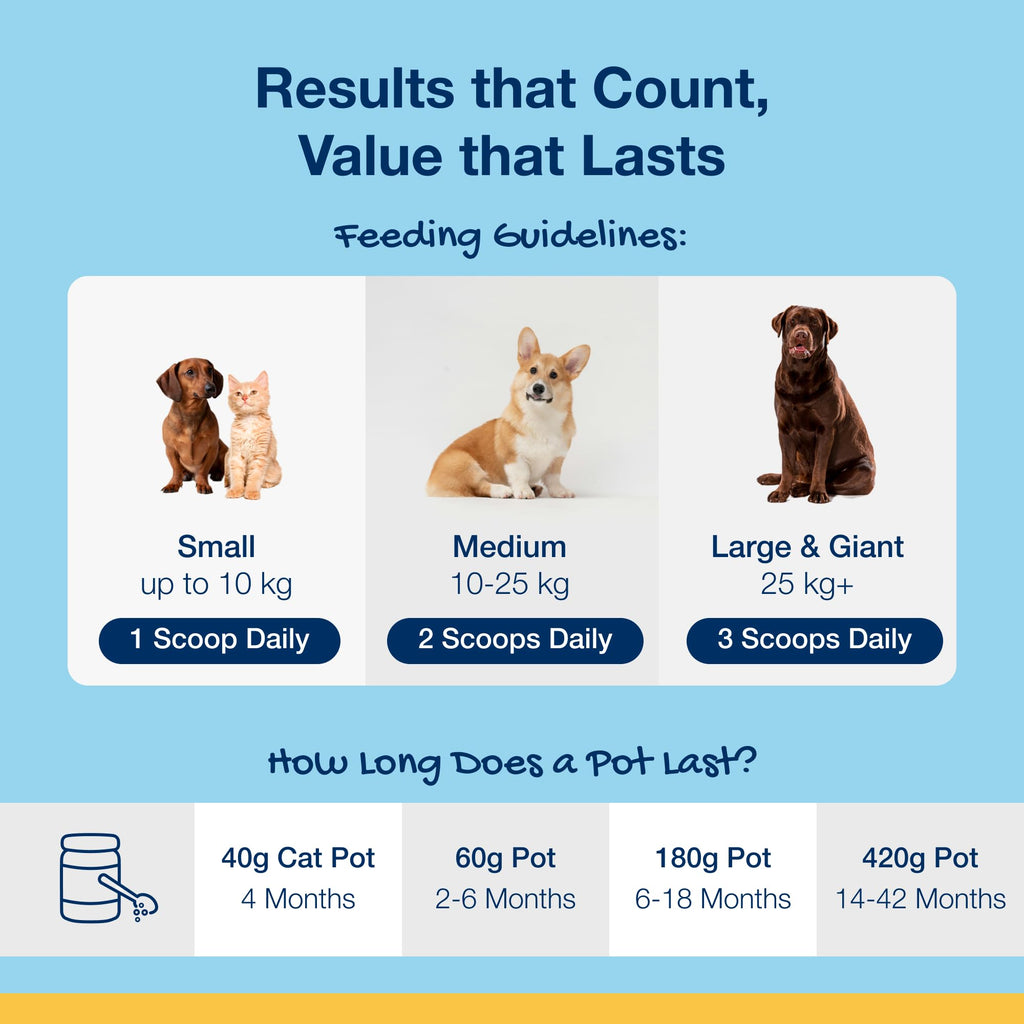 ProDen PlaqueOff 60g Dental Powder for Dogs - 100% Organic 6-Month Supply