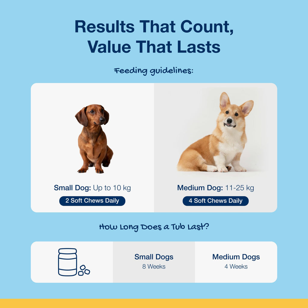 ProDen PlaqueOff 60g Dental Powder for Dogs - 100% Organic 6-Month Supply