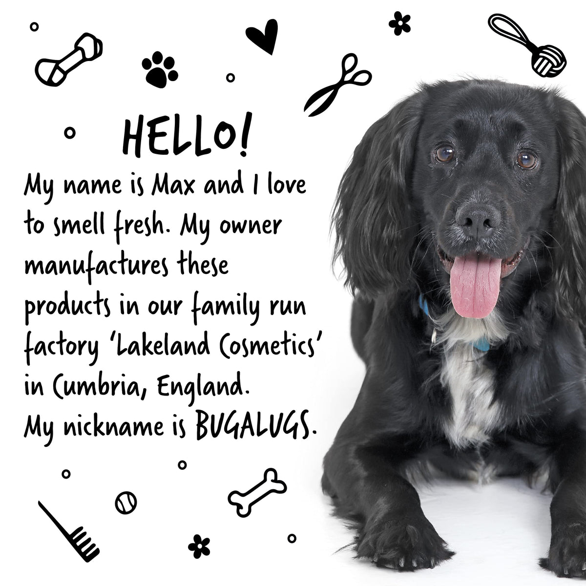 Bugalugs Dog Perfume Spray with Aloe Vera & Baby Powder Cologne great Pet Odour Eliminator Deodorant Spray for Smelly Dogs can use as Dry Shampoo