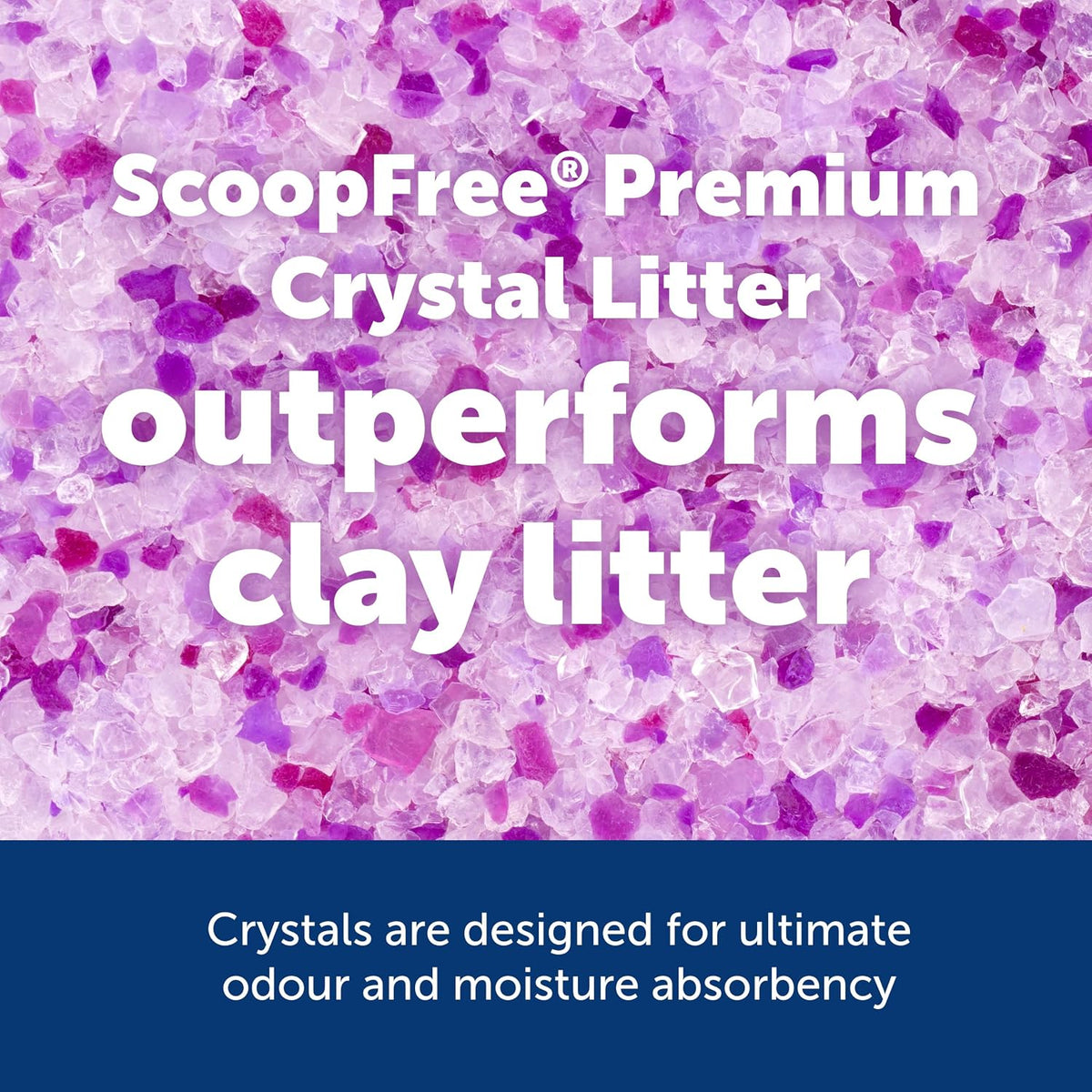 PetSafe ScoopFree Premium Crystal Cat Litter — Lavender, 2-Pack