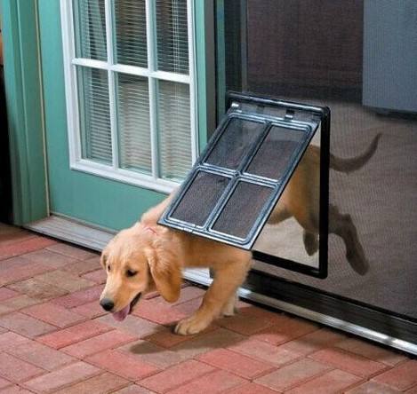 Magnetic Pet Door with Mosquito Screen