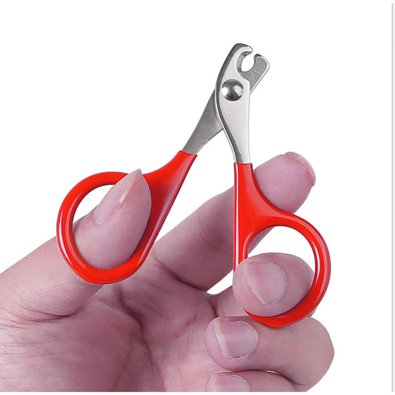 Stainless Steel Pet Grooming Scissors