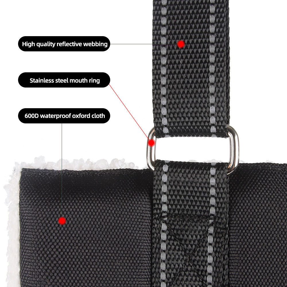 Adjustable Dog Leash with Pet Assistance Strap